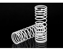 Springs (Front) (2), TRX4458