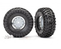Tires and wheels, assembled, glued (1.9 chrome wheels, Canyon Trail 1.9 tires) (, TRX8166